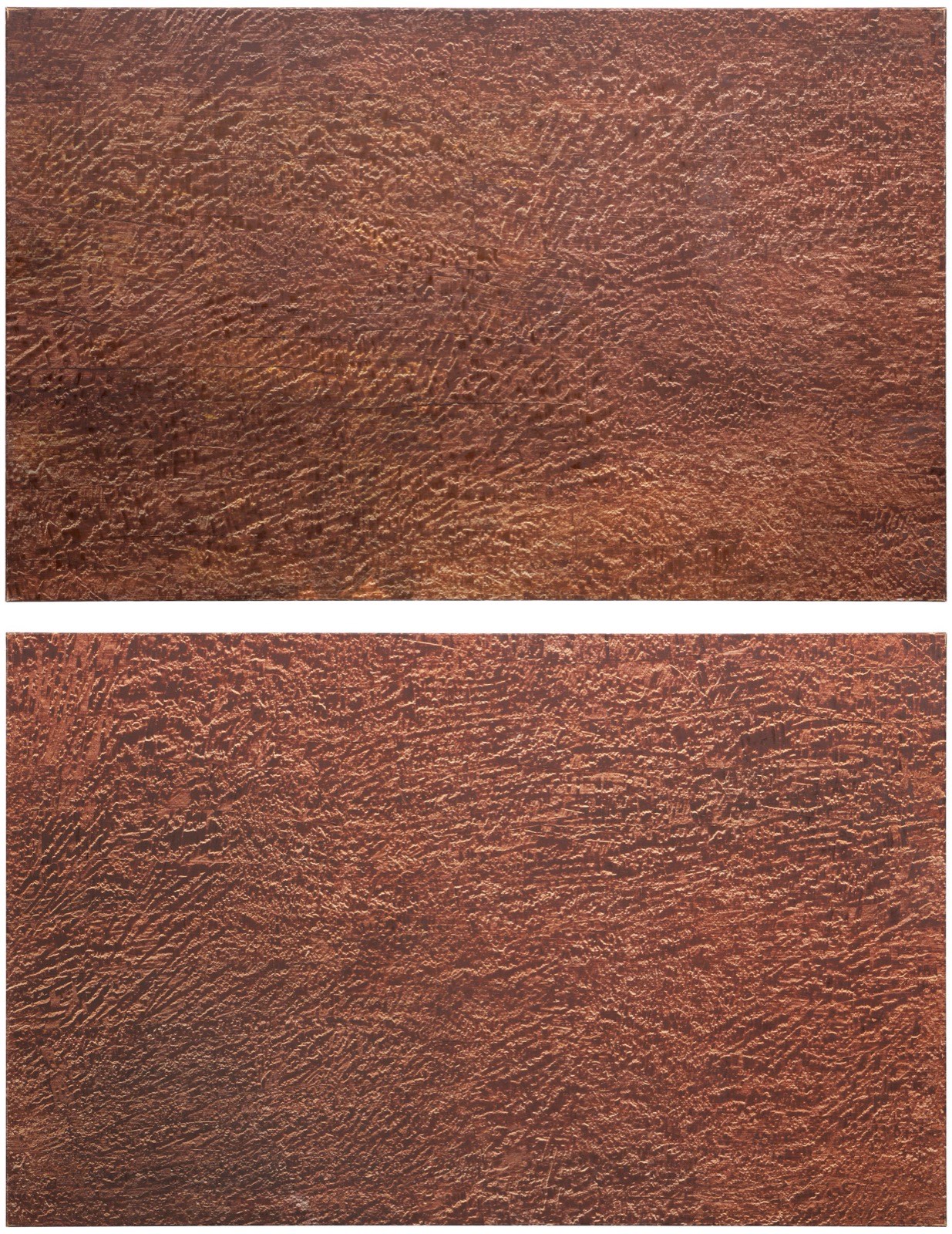 Two brown monochrome canvases stacked in one photograph, each surface dense with pale ridges and grit lifted from a studio floor.