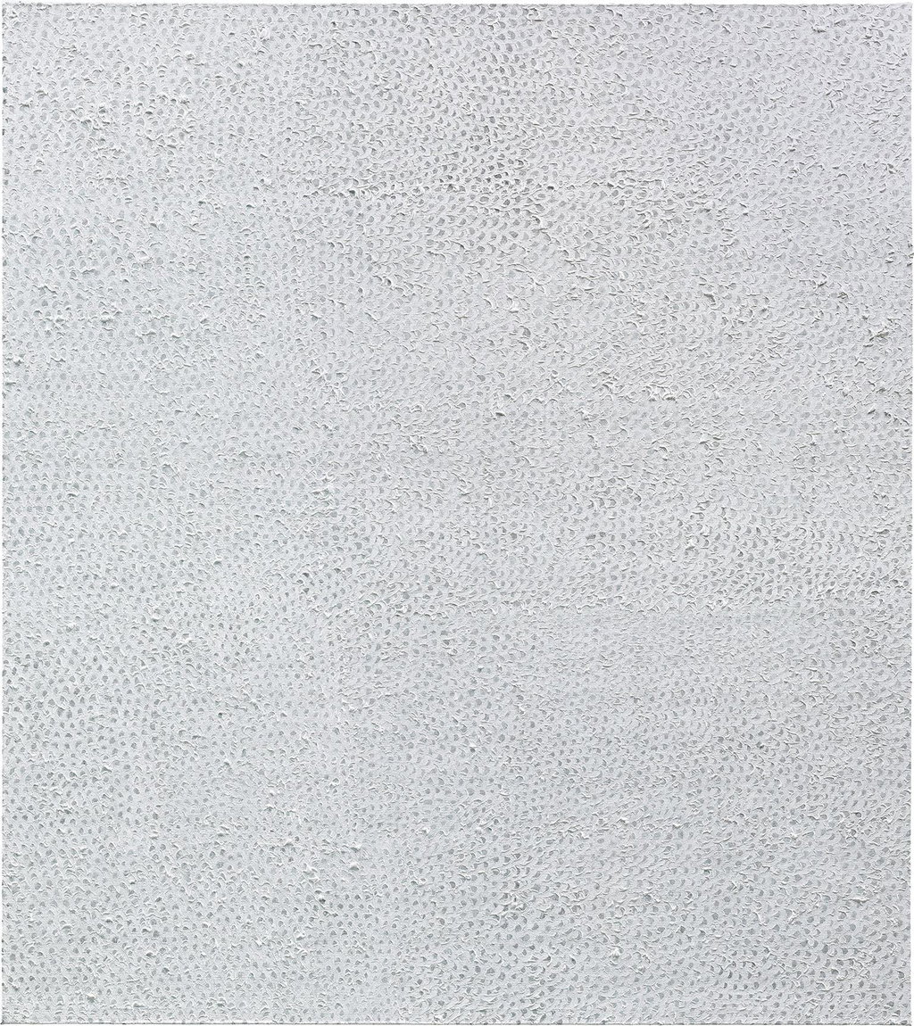 A canvas covered edge to edge in tiny loops of thick white paint over a pale grey ground, reading from a distance as a plain white surface.